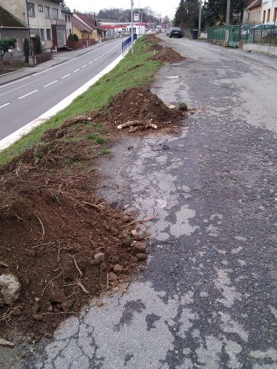 Realizujeme výsadbu stromů na "horní" Třebíčské ulici v Náměšti n. O.